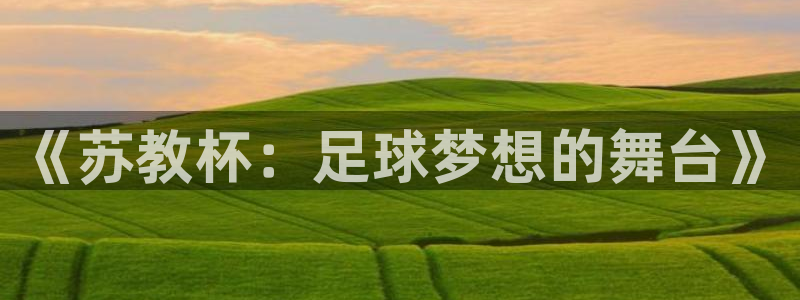 世界杯欧洲区预选赛赛程:《苏教杯:足球梦想的舞台》