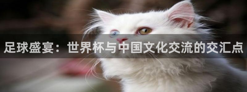 世界杯欧洲区世预赛赛程:足球盛宴:世界杯与中国文化交流的交汇点