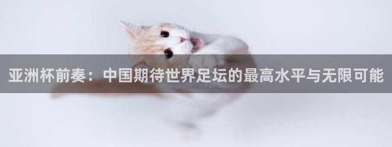 2026世界杯:亚洲杯前奏:中国期待世界足坛的最高水平与无限可能
