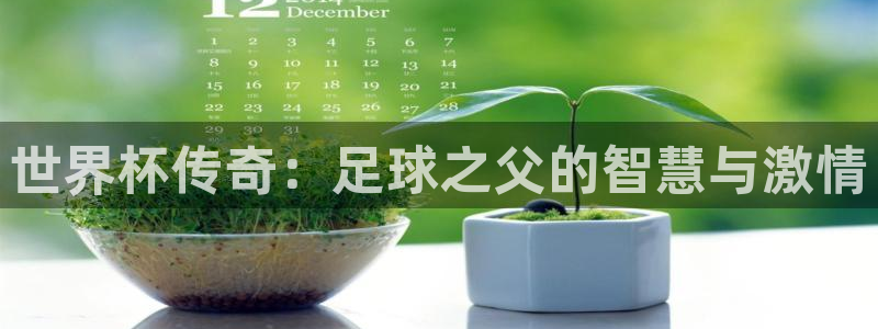 足球世界杯时间:世界杯传奇:足球之父的智慧与激情