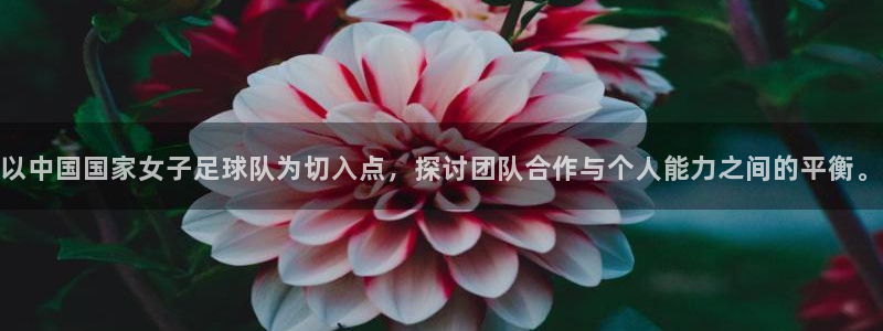 世界杯决赛直播:以中国国家女子足球队为切入点,探讨团队合作与个人能力之间的平衡。
