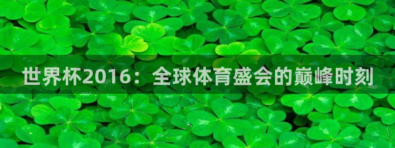 2006年世界杯:世界杯2016:全球体育盛会的巅峰时刻
