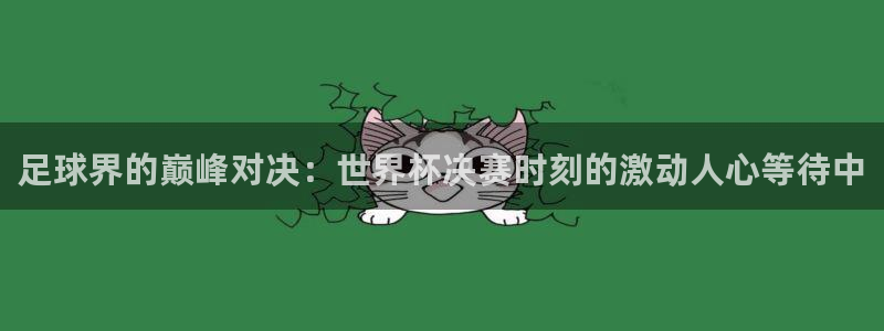 世界杯附加赛赛程表:足球界的巅峰对决:世界杯决赛时刻的激动人心等待中