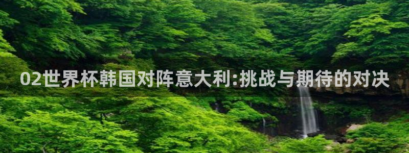 英足总杯直播:02世界杯韩国对阵意大利:挑战与期待的对决